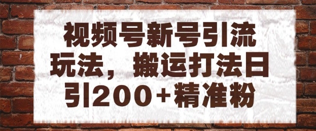视频号新号引流玩法，搬运打法日引200+精准粉，可矩阵放大【揭秘】-云网创