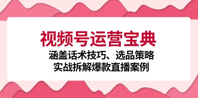 视频号运营宝典：涵盖话术技巧、选品策略、实战拆解爆款直播案例-云网创