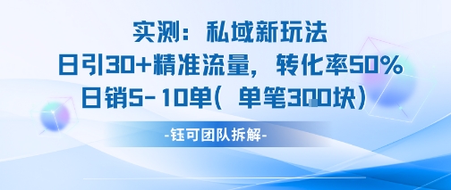 实测私域新玩法日引30加精准流量转化率50%日销5-10单每笔3张-云网创