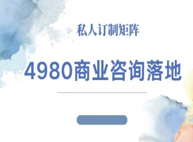 4980商业咨询师落地课程-ip运营高客单教程-云网创