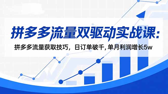 拼多多流量双驱动实战课：拼多多流量获取技巧，日订单破千,单月利润增长5w-云网创