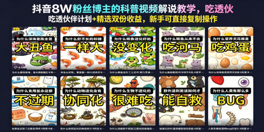 抖音8W粉丝博主的科普视频解说教学，吃透伙伴计划+精选双份收益，新手可直接复制操作-云网创