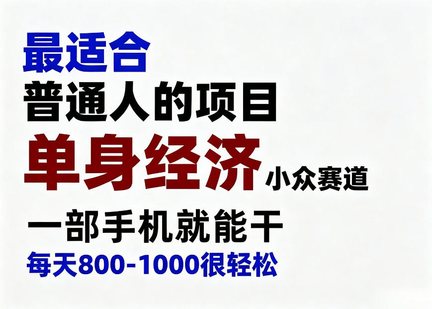 身经济小众赛道，一部手机就能干，每天搞个800-1000很轻松，最适合普通人的项目【揭秘】-云网创