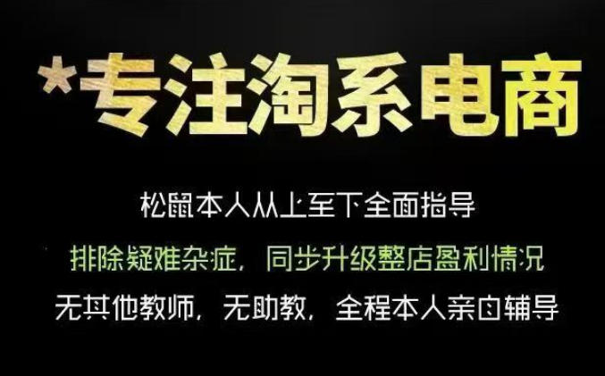 松鼠会电商VIP课程，从基础布局到高阶优化，助你掌握淘宝运营逻辑，提升店铺流量与转化(更新0910)-云网创