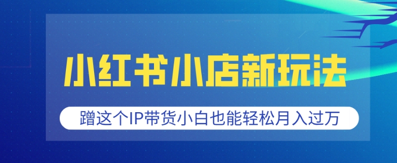小红书小店新玩法，蹭这个IP带货，小白也能轻松月入过W【揭秘】-云网创