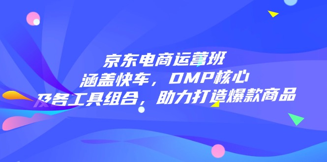 京东电商运营班：涵盖快车，DMP核心及各工具组合，助力打造爆款商品-云网创