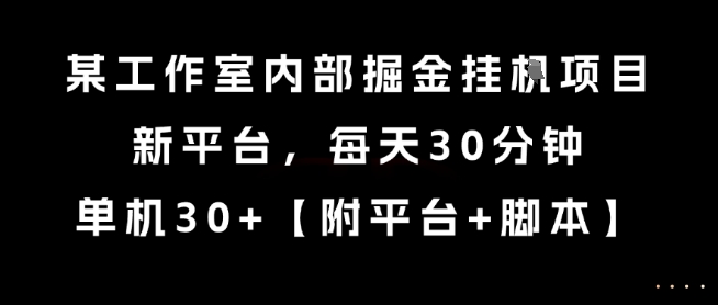 某工作室内部掘金挂G项目，新平台，每天30分钟，单机30+【揭秘】-云网创