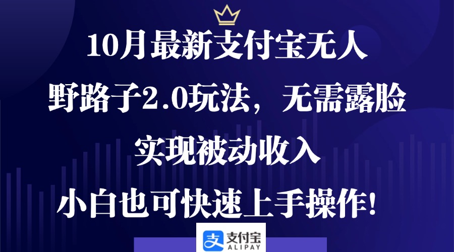 10月最新支付宝无人野路子2.0玩法，无需露脸，实现被动收入，小白也可...-云网创