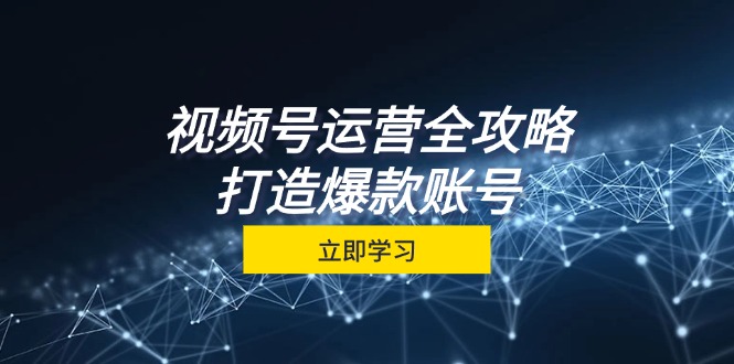 视频号运营全攻略，从定位到成交一站式学习，视频号核心秘诀，打造爆款…-云网创