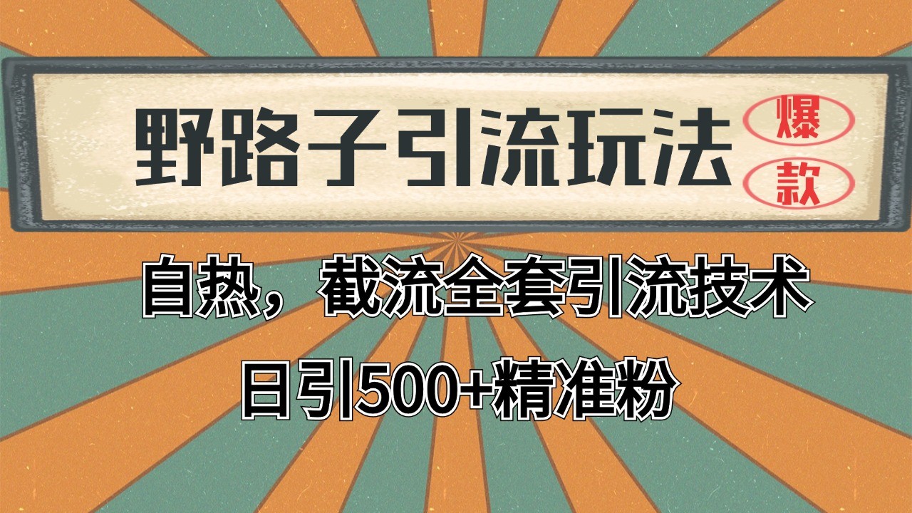 抖音小红书视频号全平台引流打法，全自动引流日引2000+精准客户-云网创