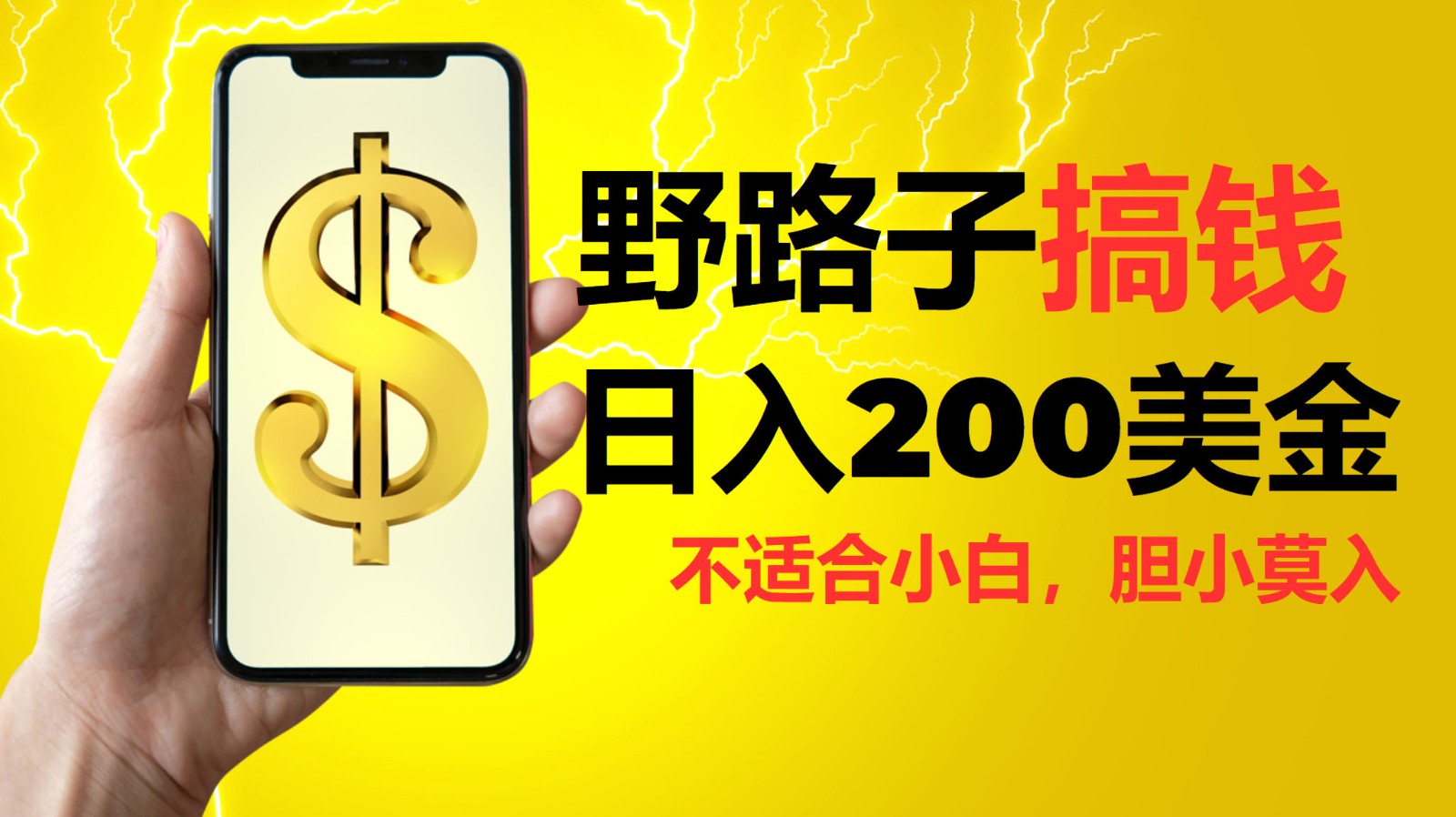 挂机野路子搞钱，日入200美金，路子很野，小白莫入-云网创
