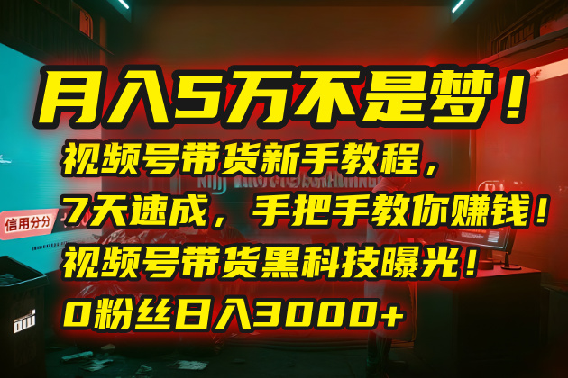 月入5万不是梦！视频号带货新手教程，7天速成，手把手教你赚钱！视频号…-云网创
