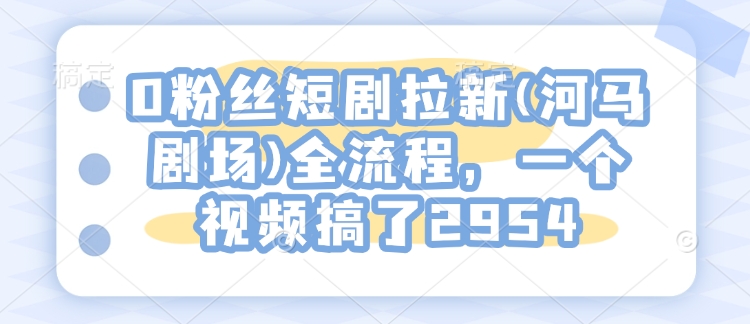 0粉丝短剧拉新(河马剧场)全流程,一个视频搞了2954