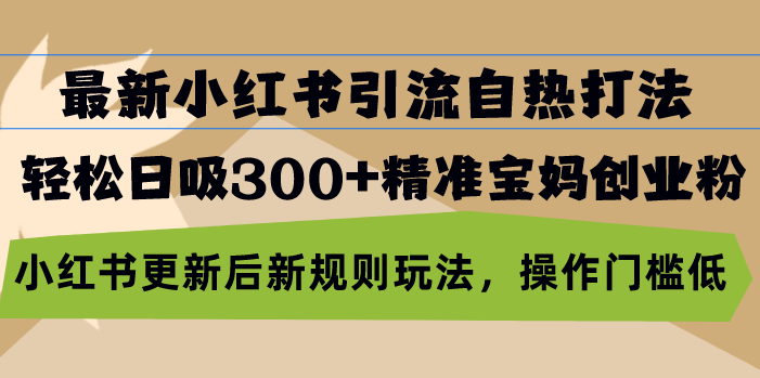 最新小红书引流自热打法，轻松日吸300+精准宝妈创业粉，小红书更新后新…-云网创