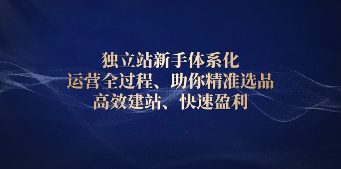 独立站新手体系化 运营全过程，助你精准选品、高效建站、快速盈利-云网创