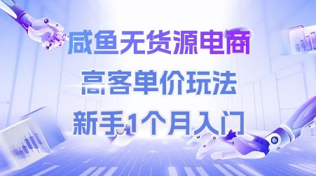 咸鱼无货源电商，高客单价玩法，新手1个月入门-云网创