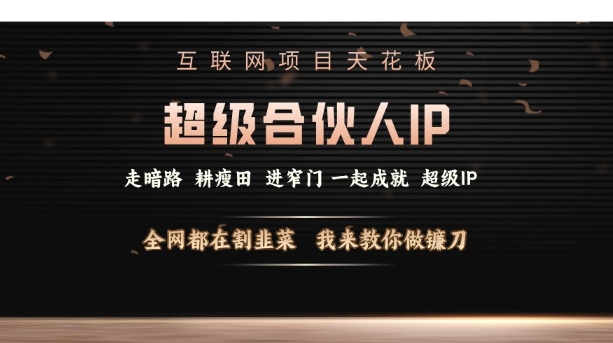 互联网项目天花板，超级合伙人IP，全网都在割韭菜，我来教你做镰刀【仅揭秘】-云网创