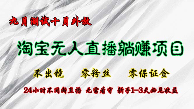 淘宝无人直播最新玩法，九月测试十月外放，不出镜零粉丝零保证金，24小...-云网创